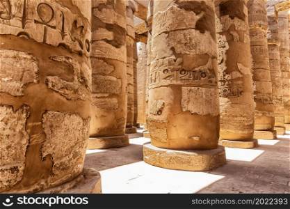 Pillars ornament in the ancient Karnak Temple of Luxor, Egypt.