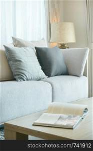 Pillows on sofa and magazine on center table in modern living room