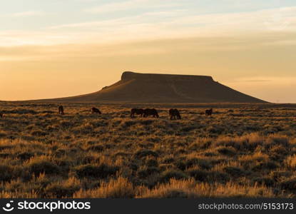 Pilot Butte along Wild Horse Scenic Loop, Wyoming