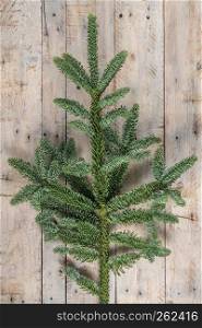 Pine branch with stars on wooden background. Christmas theme background in vintage tone. Rustic wood background for Christmas with copy space for all Christmas design. Pine branch with stars on wooden background. Top view. Flat lay