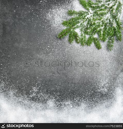 Pine branches in snow. Christmas holidays winter background. Dark stone texture
