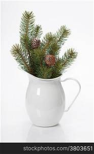 Pine branches in white jug
