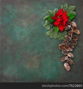 Pine branches with red flowers poinsettia. Christmas holidays background