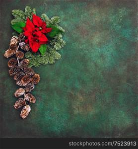 Pine branches with red flowers poinsettia. Christmas holidays winter background. Dark stone texture vintage toned