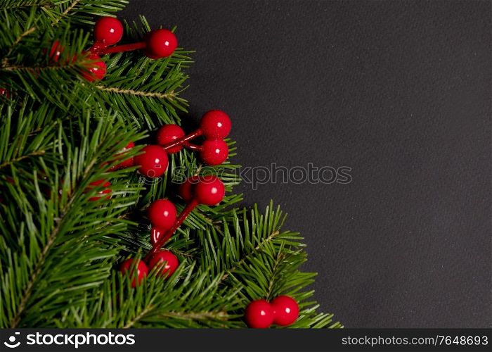 Pine Christmas tree branches and red berries on black paper background flat lay top view mock-up. Pine branches decor on black paper