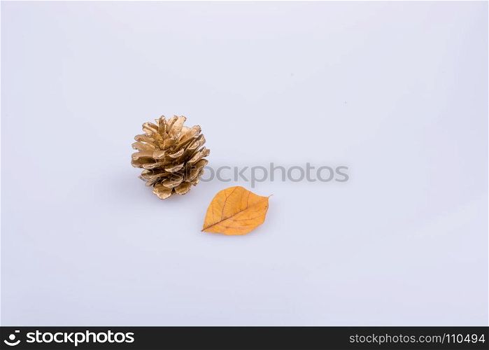 Pine cone and a leaf on a light on a white color background