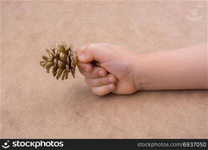 Pine cone held in hand on a brown background