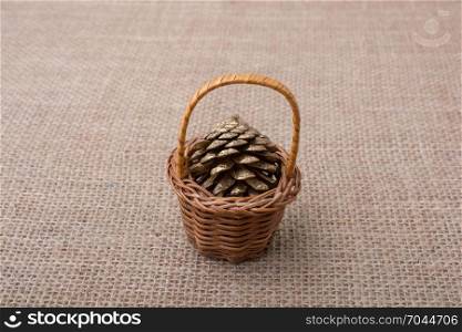 Pine cone in a tiny basket on a canvas background