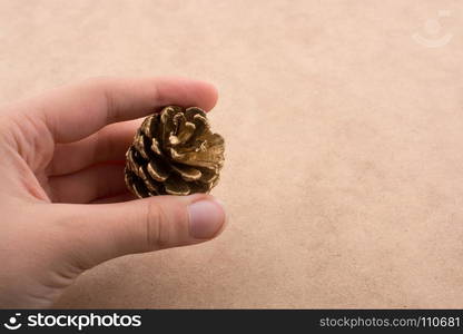 Pine cone in hand on a brown background