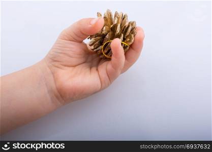 Pine cone in hand on a brown background