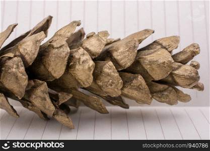Pine cone on a lined peper background