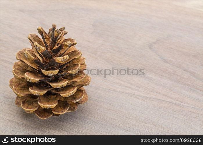 pine cone on grained wood with a copy space