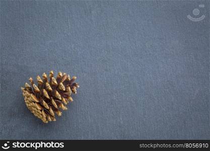 pine cone on gray slate stone with a copy space