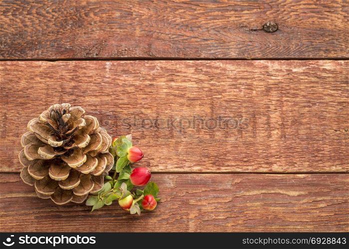 Pine cone with red berries against rustic barn wood with a copy space