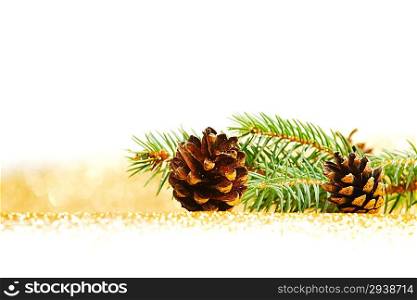 Pine cones and fir branch