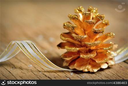 Pine cones isolated on old wood