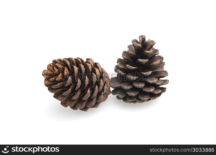 Pine cones isolated on white background