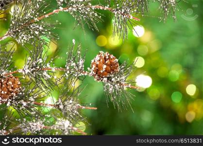 Pine cones on a branch on a green background