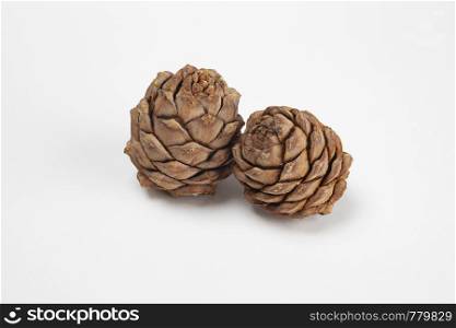 Pine cones on a white background close-up, side view
