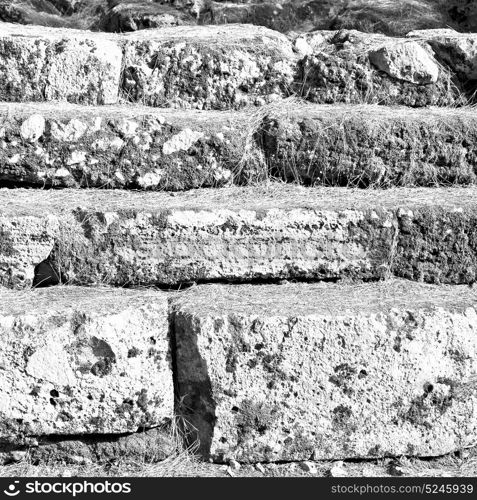 pine needles in arykanda antalya turkey asia and ruins