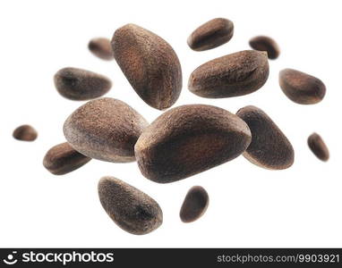 Pine nuts levitate on a white background.. Pine nuts levitate on a white background