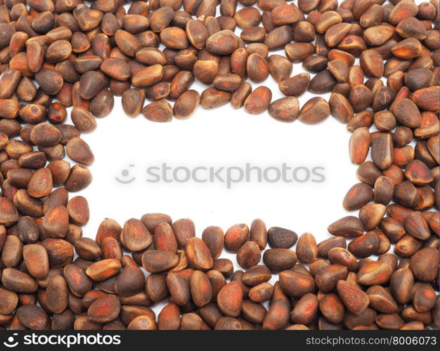 pine nuts on a white background