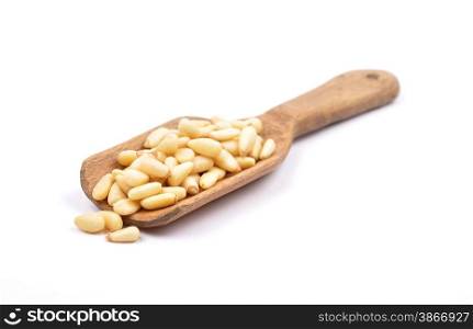 Pine nuts on white