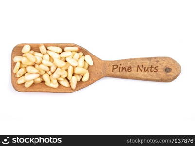 Pine nuts on white