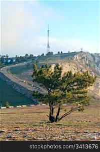 pine tree and radio -communication tower on mountain peak (Aj-Petri Mountain, Crimea, Ukraine)