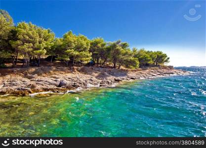 Pine tree and stone beach with crystal clear turquoise sea in Island of Murter, Croatia