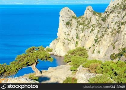 "pine tree and summer rocky coastline ("Novyj Svit" reserve, "Rhinoceros" cape, Crimea, Ukraine)."