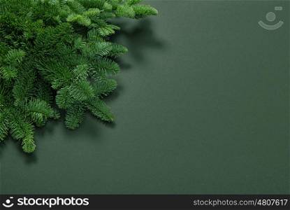 Pine tree branches. Floral arrangement. Christmas New Year holidays background