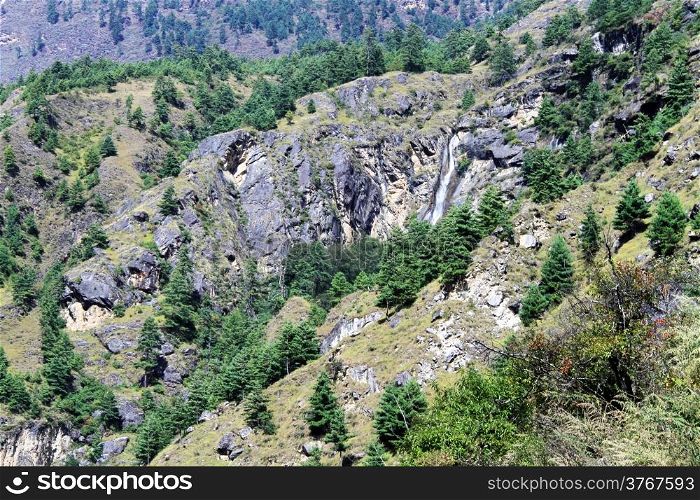 Pine trees and rocks in mountain in Nepal
