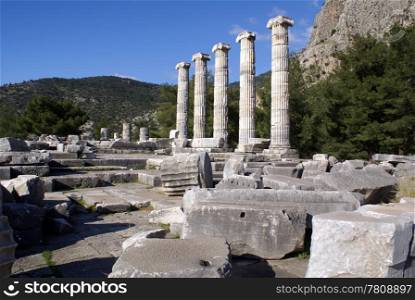 Pine trees and ruinsof Athena temple in Priene, Turkey