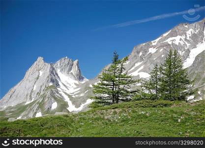 Pine trees and snowed mountain peaks in Mont Blanc massif, France.