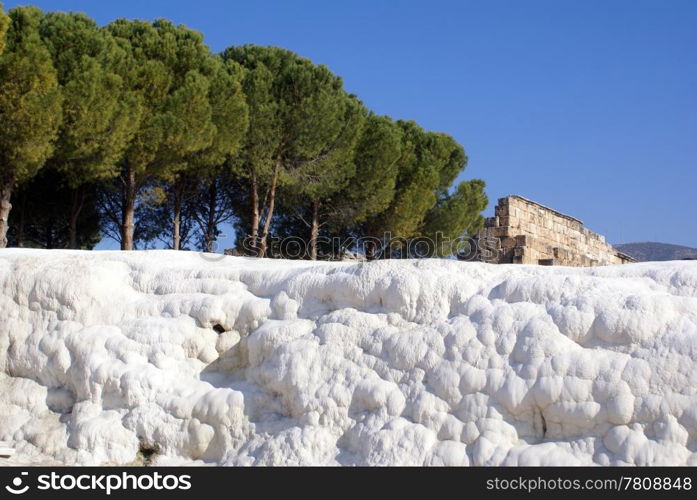 Pine trees and travertine in Pamukkale, Turkey