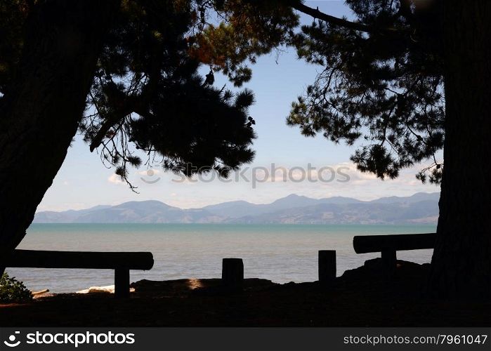 Pine trees frame a summer&rsquo;s day at Ruby Bay picnic area near Nelson in the South Island of New Zealand