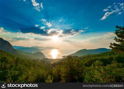 pine trees in the mountains and the rising sun over the sea