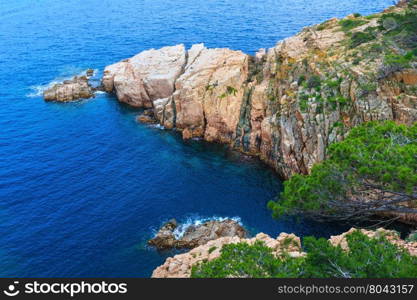 Pine trees on rocky coast above sea.