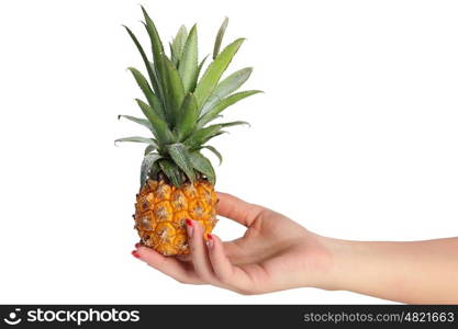 pineapple isolated