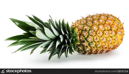Pineapple lying on its side isolated on a white background