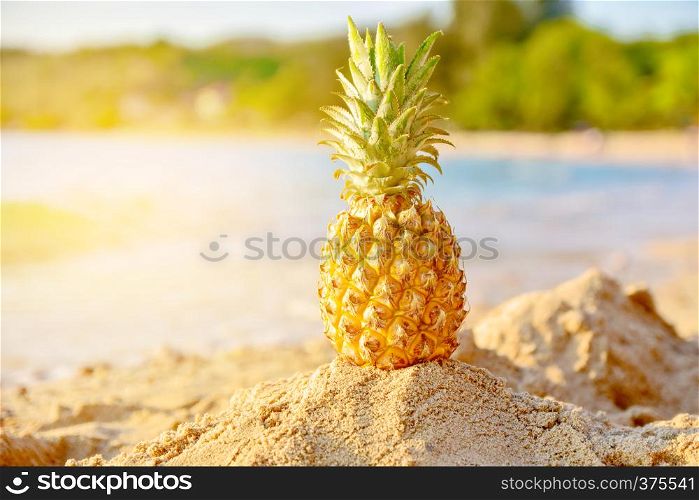 Pineapple on beach summer background holiday travel concept