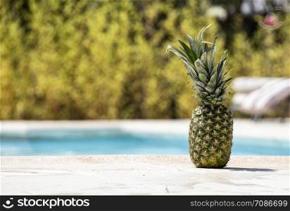 Pineapple on the edge of a swimming pool