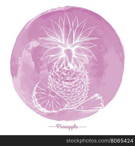 Pineapple on watercolor pink cirlce. Hand drawn pineapple on watercolor pink cirlce backdrop vector