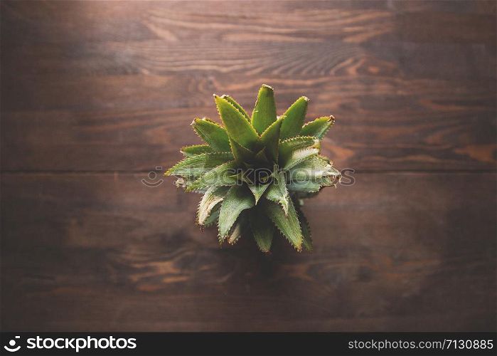 Pineapple on wooden background top of view, selective focus