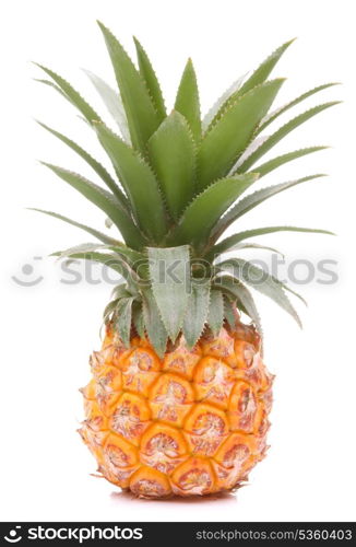 Pineapple tropical fruit or ananas isolated on white background cutout