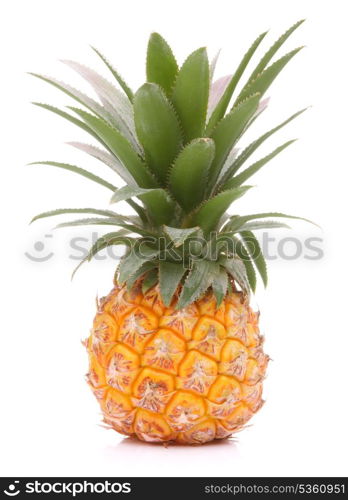 Pineapple tropical fruit or ananas isolated on white background cutout