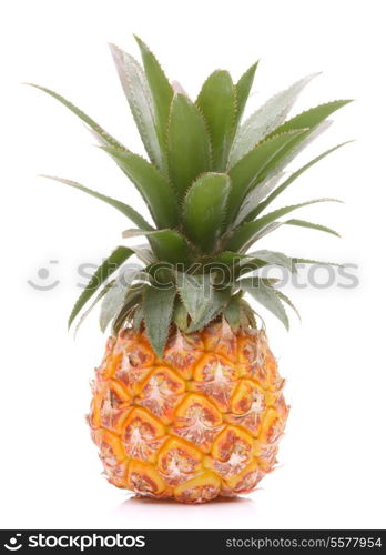 Pineapple tropical fruit or ananas isolated on white background cutout