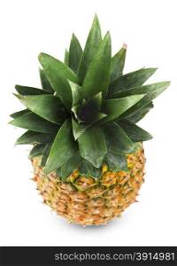 Pineapple with bright green leaves isolated on white background
