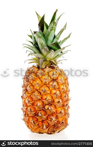 pineappleon a white background
